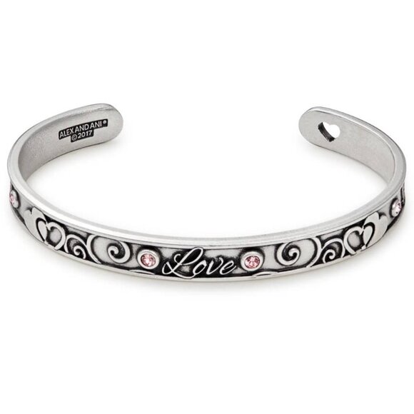 Alex and Ani Bracelet - Picture 1 of 2